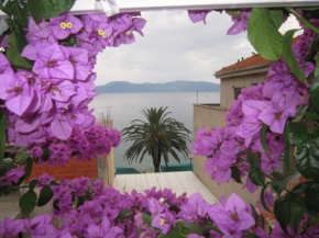 Apartment Graci - 20 m from beach